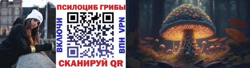 цена наркотик  Дербент  Псилоцибиновые грибы Cubensis 