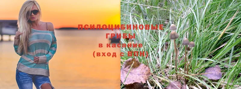 ссылка на мегу маркетплейс  Дербент  Галлюциногенные грибы ЛСД  цена наркотик 