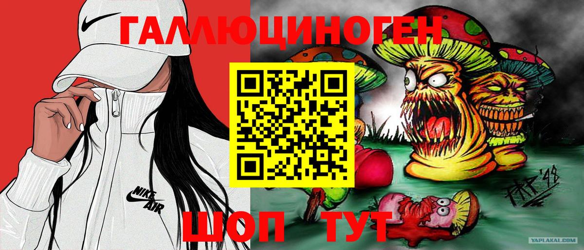 Псилоцибиновые грибы ЛСД Дербент