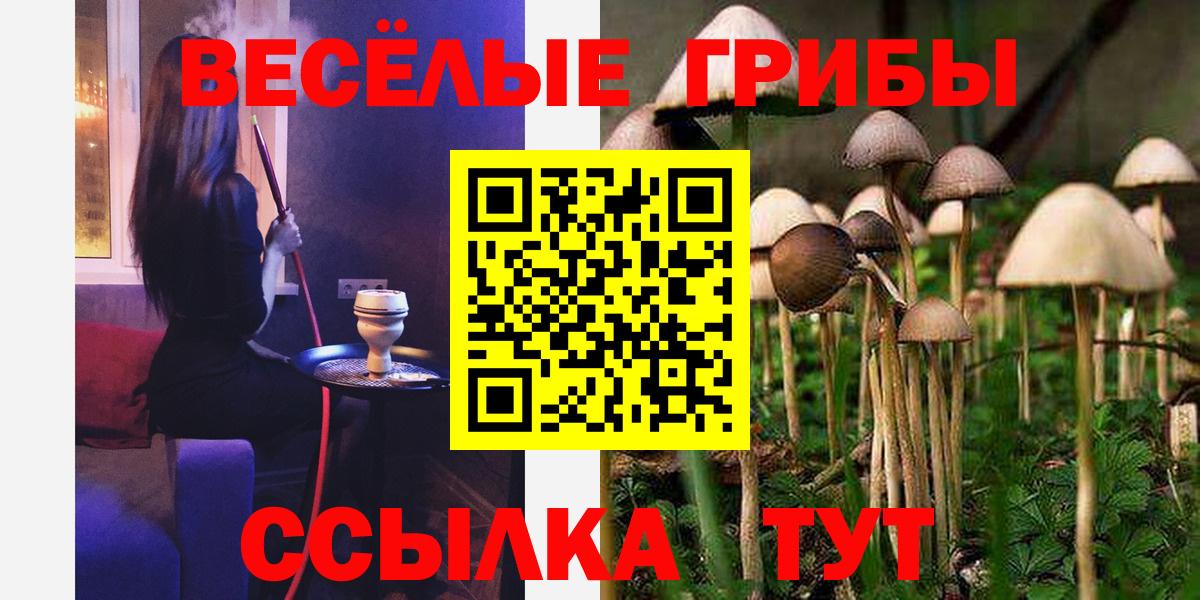 Псилоцибиновые грибы GOLDEN TEACHER Дербент