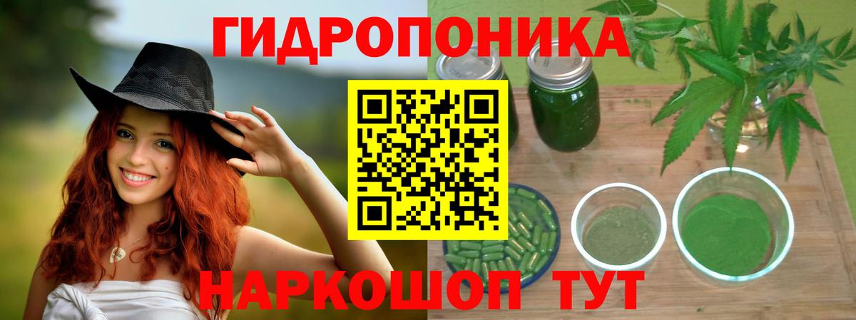 Бошки марихуана гибрид Дербент